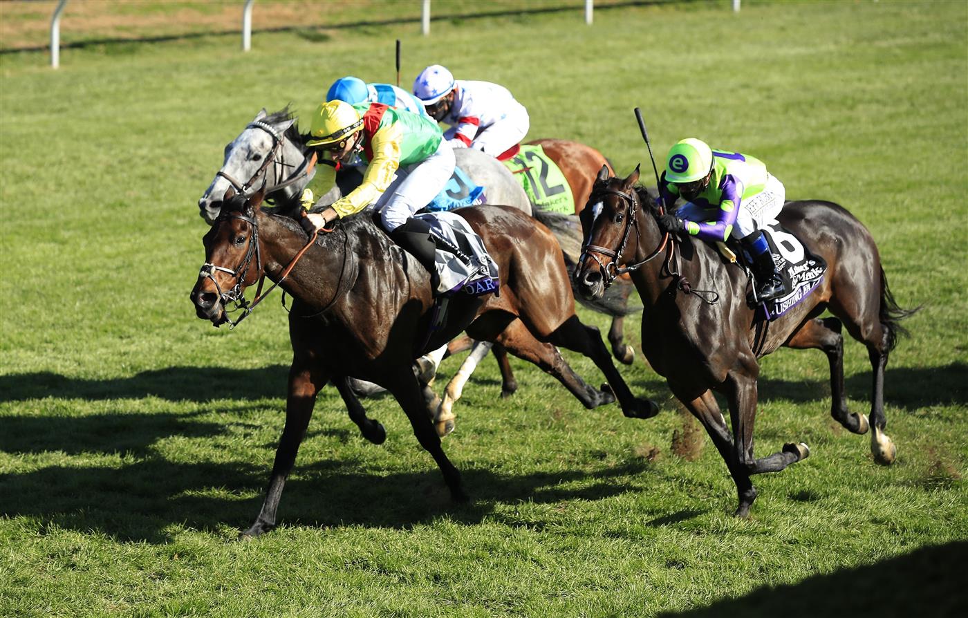 LEXINGTON, KENTUCKY - NOVEMBER 07:   Audarya with Pierre-Charles Boudot aboard runs to victory in the Breeders,'Cup Filly and Mare Turf during 2020 Breeders' Cup at Keeneland on November 07, 2020 in Lexington, Kentucky. (Photo by Andy Lyons/Getty Images)