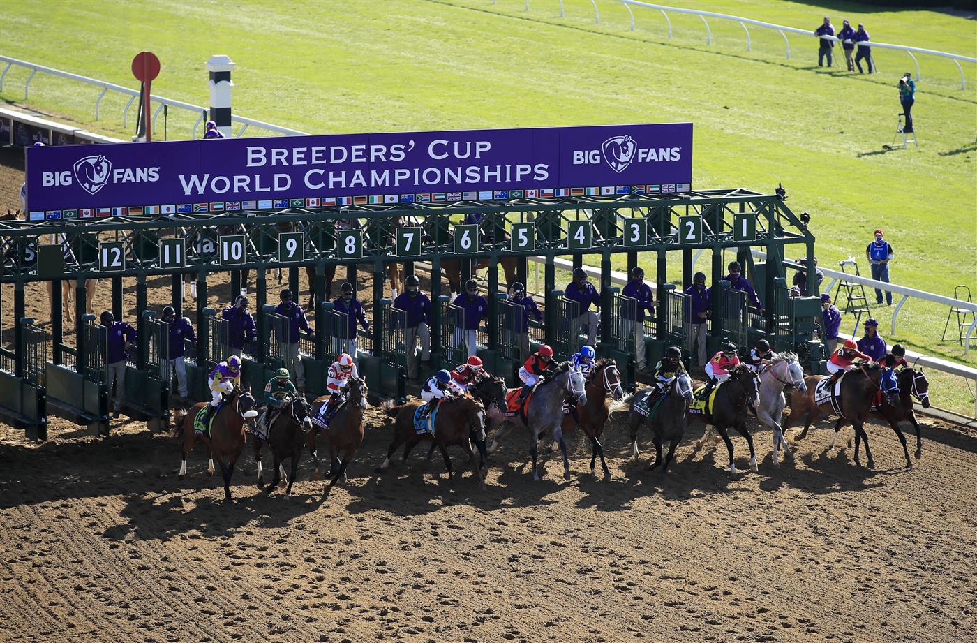 LEXINGTON, KENTUCKY - NOVEMBER 07:   The field leaves the starters gate in the Breeders' Cup Dirt Mile during 2020 Breeders' Cup at Keeneland on November 07, 2020 in Lexington, Kentucky. (Photo by Andy Lyons/Getty Images)