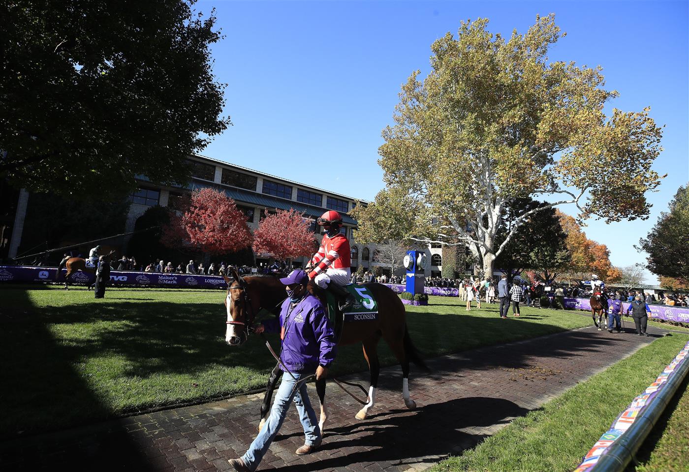 LEXINGTON, KENTUCKY - NOVEMBER 07:   Sconsin walks in the paddock before the Filly and Mare Sprint during 2020 Breeders' Cup at Keeneland on November 07, 2020 in Lexington, Kentucky. (Photo by Andy Lyons/Getty Images)