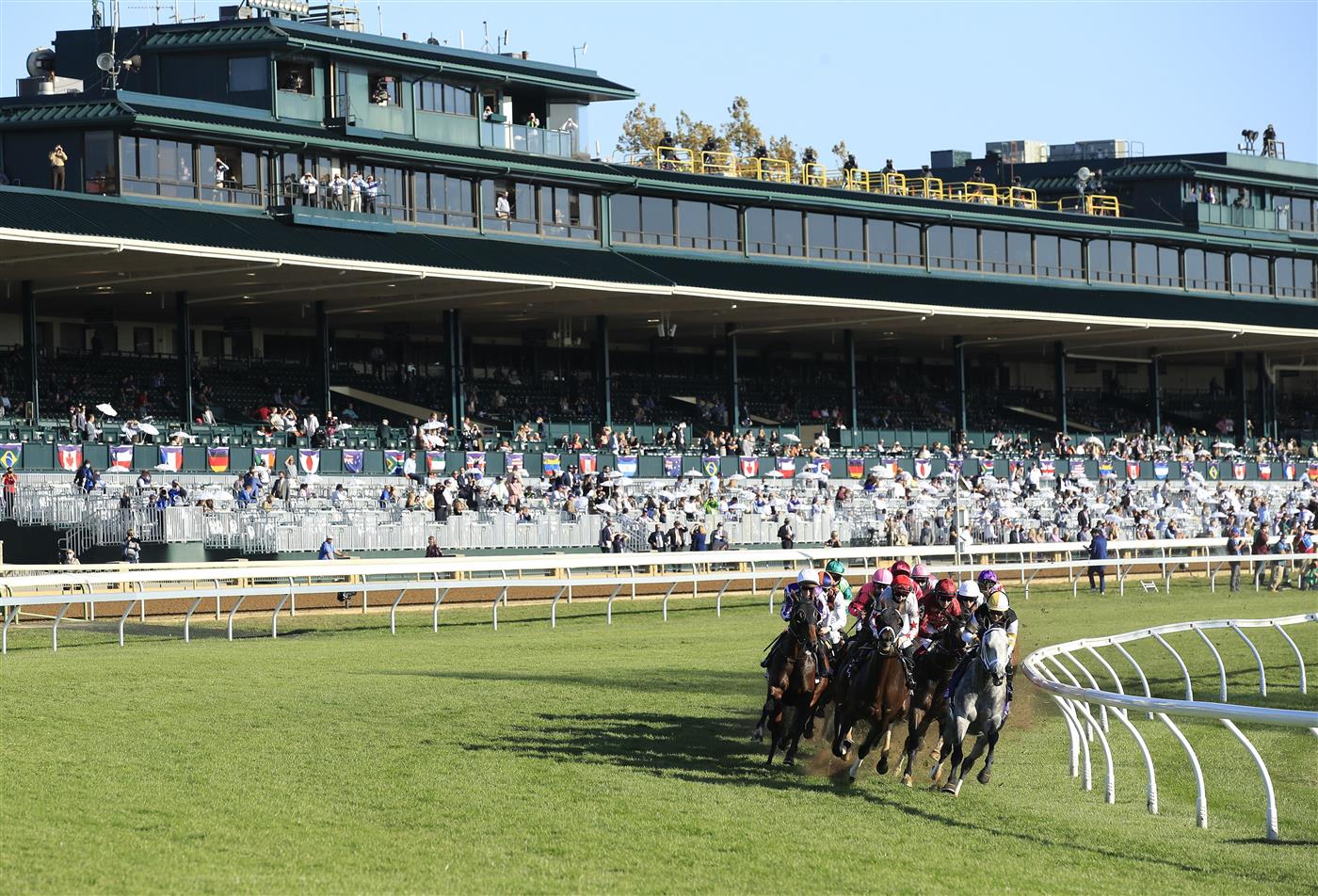 LEXINGTON, KENTUCKY - NOVEMBER 07:   The field rounds the first turn in the Breeders' Cup Mile during 2020 Breeders' Cup at Keeneland on November 07, 2020 in Lexington, Kentucky. (Photo by Andy Lyons/Getty Images)