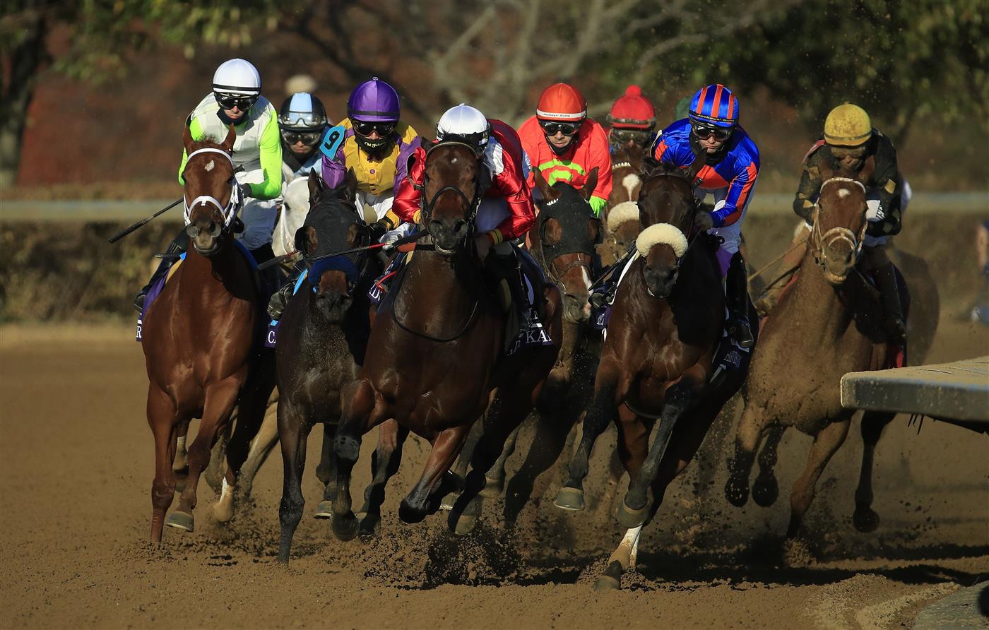 LEXINGTON, KENTUCKY - NOVEMBER 07:   Monomoy Girl (far left in lime green white helmitt) with Florent Geroux aboard rounds the first turn on the way to victory in the Breeders' Cup Distaff during 2020 Breeders' Cup at Keeneland on November 07, 2020 in Lexington, Kentucky. (Photo by Andy Lyons/Getty Images)