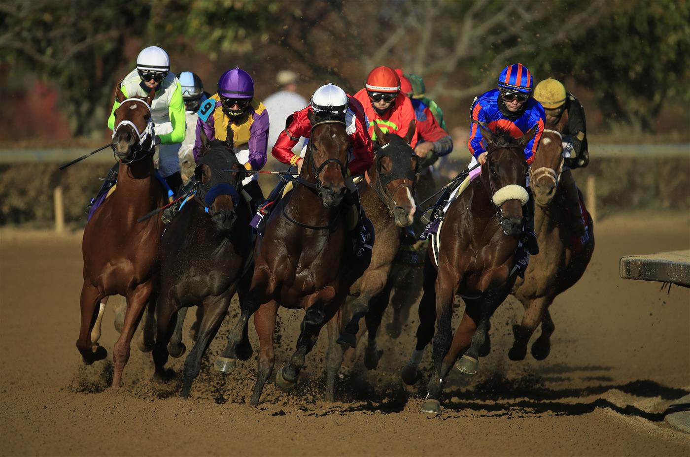 LEXINGTON, KENTUCKY - NOVEMBER 07:   The field rounds the first turn in the Breeders' Cup Distaff during 2020 Breeders' Cup at Keeneland on November 07, 2020 in Lexington, Kentucky. (Photo by Andy Lyons/Getty Images)