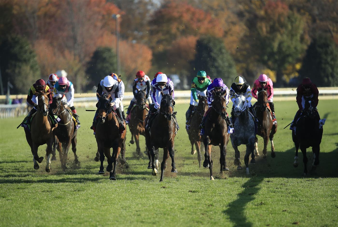 LEXINGTON, KENTUCKY - NOVEMBER 07:   The field finishes in the Breeders' Cup Mile during 2020 Breeders' Cup at Keeneland on November 07, 2020 in Lexington, Kentucky. (Photo by Andy Lyons/Getty Images)