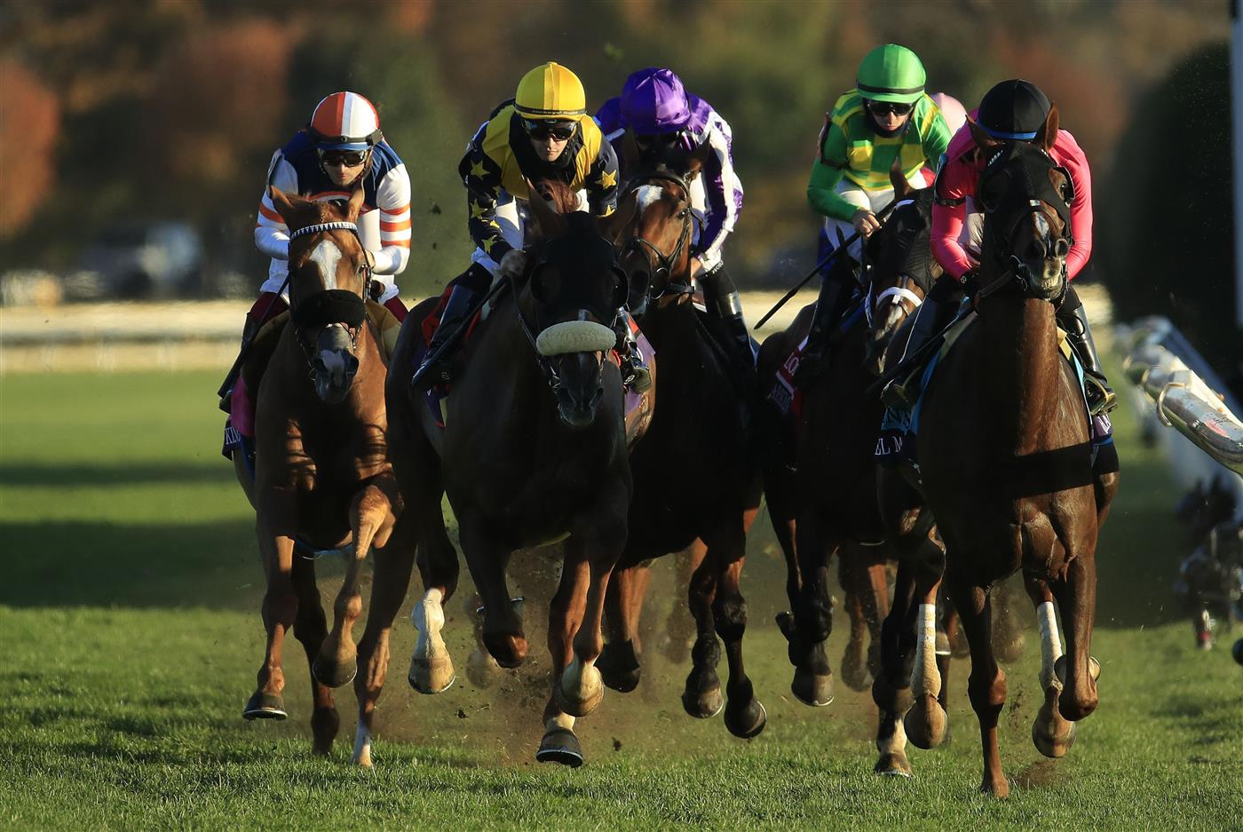 LEXINGTON, KENTUCKY - NOVEMBER 07:  The field runs down the front stretch on the first lap of the Breeders' Cup Turf during 2020 Breeders' Cup at Keeneland on November 07, 2020 in Lexington, Kentucky. (Photo by Andy Lyons/Getty Images)