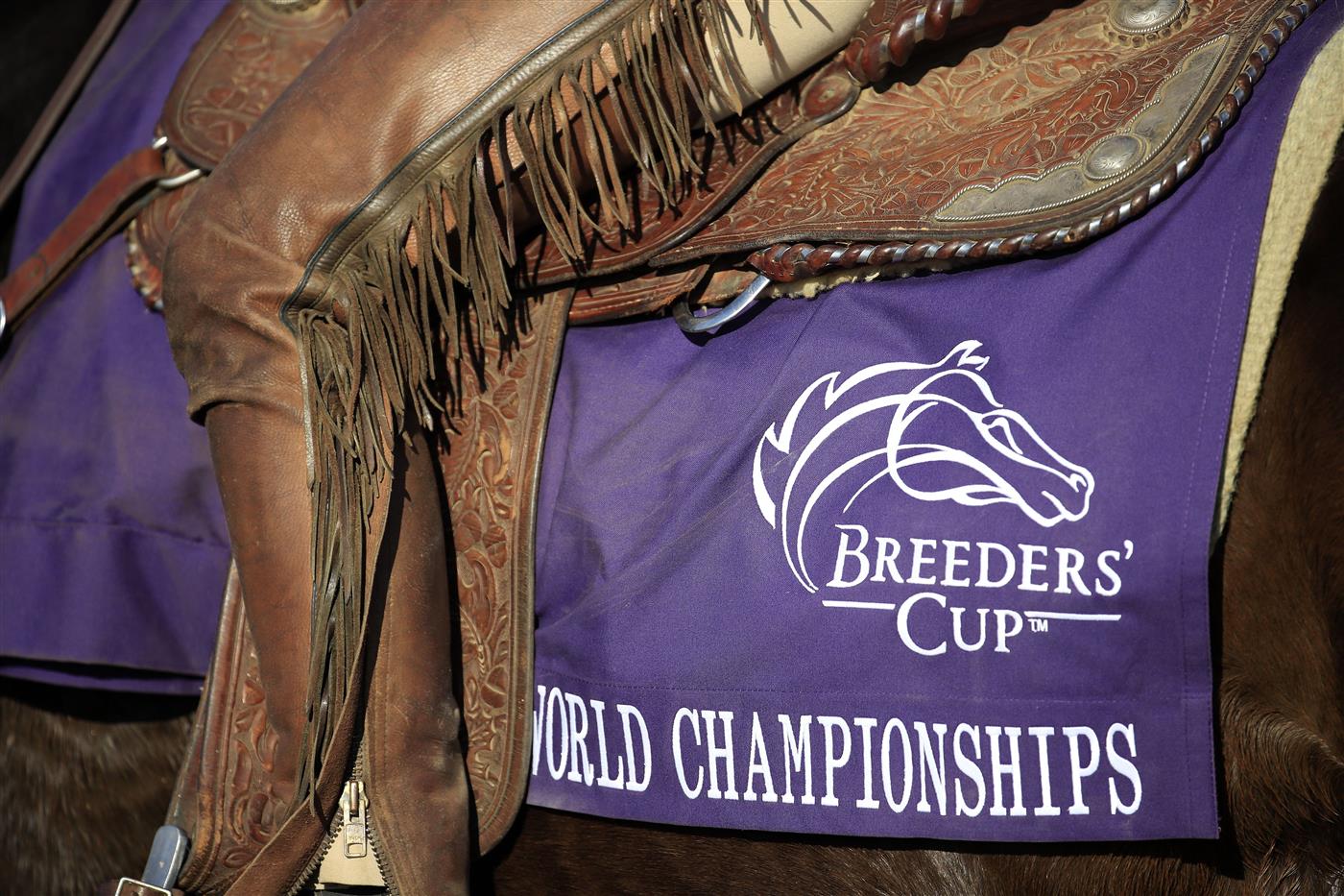 LEXINGTON, KENTUCKY - NOVEMBER 07:   during 2020 Breeders' Cup at Keeneland on November 07, 2020 in Lexington, Kentucky. (Photo by Andy Lyons/Getty Images)