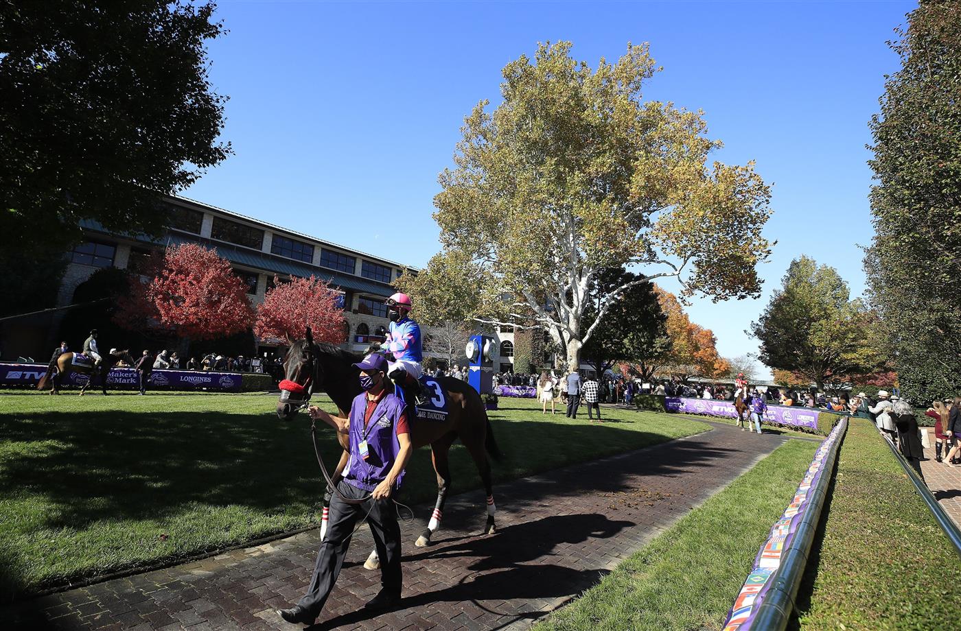 LEXINGTON, KENTUCKY - NOVEMBER 07:   Come Dancing walks in the paddock before the Filly and Mare Sprint during 2020 Breeders' Cup at Keeneland on November 07, 2020 in Lexington, Kentucky. (Photo by Andy Lyons/Getty Images)