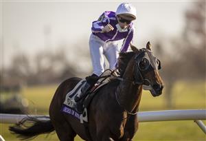 LEXINGTON, KY - NOVEMBER 07: Christophe Soumillon, riding Order of Australia, celebrates after winning the Breeders Cup Mile at Keenland on November 6, 2020 in Lexington, Kentucky. (Photo by Bobby Ellis/Getty Images)