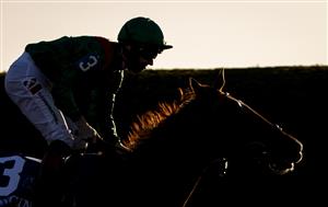 LEXINGTON, KY - NOVEMBER 07: Tarnawa, ridden by Christophe Soumillon races towards the finish line in the Breeders Cup Turf race at Keenland on November 7, 2020 in Lexington, Kentucky. (Photo by Bobby Ellis/Getty Images)