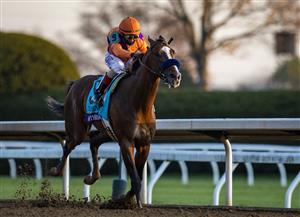 LEXINGTON, KY - NOVEMBER 07: Authentic, ridden by John Velazquez races towards the finish line during the Breeders Cup Classic at Keenland on November 7, 2020 in Lexington, Kentucky. (Photo by Bobby Ellis/Getty Images)
