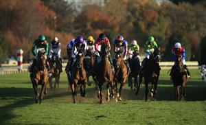 LEXINGTON, KENTUCKY - NOVEMBER 07:   Tarnawa #3 (far left) with Christophe Soumilion aboard wins the Breeders' Cup Turf during 2020 Breeders' Cup at Keeneland on November 07, 2020 in Lexington, Kentucky. (Photo by Andy Lyons/Getty Images)