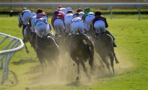 LEXINGTON, KENTUCKY - NOVEMBER 07:   The field rounds the second turn in the Breeders' Cup Mile during 2020 Breeders' Cup at Keeneland on November 07, 2020 in Lexington, Kentucky. (Photo by Andy Lyons/Getty Images)