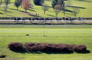 LEXINGTON, KENTUCKY - NOVEMBER 07:  The field runs the back stretch in the Filly and Mare Sprint during 2020 Breeders' Cup at Keeneland on November 07, 2020 in Lexington, Kentucky. (Photo by Andy Lyons/Getty Images)
