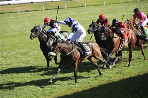LEXINGTON, KENTUCKY - NOVEMBER 07:   Glass Slippers with Tom Eaves aboard runs to victory in the Turf Sprint during 2020 Breeders' Cup at Keeneland on November 07, 2020 in Lexington, Kentucky. (Photo by Andy Lyons/Getty Images)