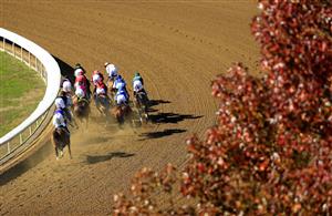 LEXINGTON, KENTUCKY - NOVEMBER 07:   The field runs the first turn in the Breeders' Cup Dirt Mile during 2020 Breeders' Cup at Keeneland on November 07, 2020 in Lexington, Kentucky. (Photo by Andy Lyons/Getty Images)