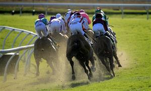 LEXINGTON, KENTUCKY - NOVEMBER 07:   The field rounds the second turn in the Breeders' Cup Mile during 2020 Breeders' Cup at Keeneland on November 07, 2020 in Lexington, Kentucky. (Photo by Andy Lyons/Getty Images)