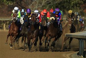 LEXINGTON, KENTUCKY - NOVEMBER 07:   The field rounds the first turn in the Breeders' Cup Distaff during 2020 Breeders' Cup at Keeneland on November 07, 2020 in Lexington, Kentucky. (Photo by Andy Lyons/Getty Images)