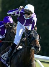LEXINGTON, KENTUCKY - NOVEMBER 07:   Christophe Soumilion celebrates after riding Order of Australia to victory in the Breeders' Cup Mile during 2020 Breeders' Cup at Keeneland on November 07, 2020 in Lexington, Kentucky. (Photo by Andy Lyons/Getty Images)