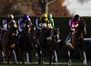 LEXINGTON, KY - NOVEMBER 07: Horses race out of the starting gate during the Breeders Cup Turf at Keenland on November 6, 2020 in Lexington, Kentucky. (Photo by Bobby Ellis/Getty Images)