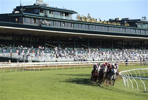 LEXINGTON, KENTUCKY - NOVEMBER 07:   The field rounds the first turn in the Breeders' Cup Mile during 2020 Breeders' Cup at Keeneland on November 07, 2020 in Lexington, Kentucky. (Photo by Andy Lyons/Getty Images)