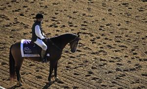 LEXINGTON, KENTUCKY - NOVEMBER 07:  The field runs the back stretch in the Filly and Mare Sprint during 2020 Breeders' Cup at Keeneland on November 07, 2020 in Lexington, Kentucky. (Photo by Andy Lyons/Getty Images)