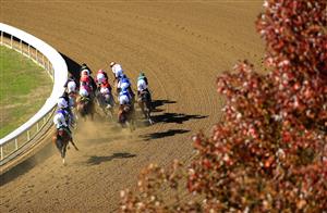 LEXINGTON, KENTUCKY - NOVEMBER 07:   The field runs the first turn in the Breeders' Cup Dirt Mile during 2020 Breeders' Cup at Keeneland on November 07, 2020 in Lexington, Kentucky. (Photo by Andy Lyons/Getty Images)