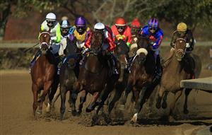 LEXINGTON, KENTUCKY - NOVEMBER 07:   Monomoy Girl (far left in lime green white helmitt) with Florent Geroux aboard rounds the first turn on the way to victory in the Breeders' Cup Distaff during 2020 Breeders' Cup at Keeneland on November 07, 2020 in Lexington, Kentucky. (Photo by Andy Lyons/Getty Images)