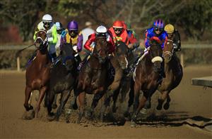 LEXINGTON, KENTUCKY - NOVEMBER 07:   The field rounds the first turn in the Breeders' Cup Distaff during 2020 Breeders' Cup at Keeneland on November 07, 2020 in Lexington, Kentucky. (Photo by Andy Lyons/Getty Images)