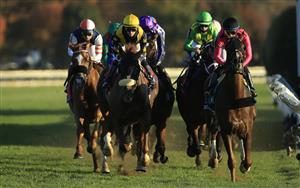 LEXINGTON, KENTUCKY - NOVEMBER 07:  The field runs down the front stretch on the first lap of the Breeders' Cup Turf during 2020 Breeders' Cup at Keeneland on November 07, 2020 in Lexington, Kentucky. (Photo by Andy Lyons/Getty Images)