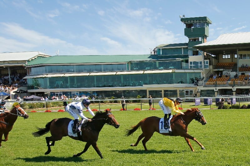 Big Bets Results for 14.11.2020