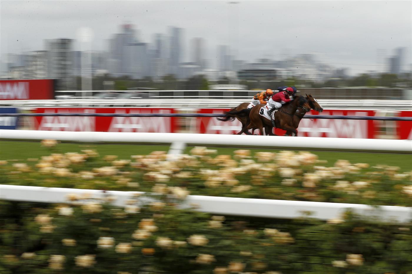 Jamie Kah riding Victoria Quay wins race two the G.h.Mumm Wakeful Stakes  during 2020 AAMI Victoria Derby Day at Flemington Racecourse (Getty Images)
