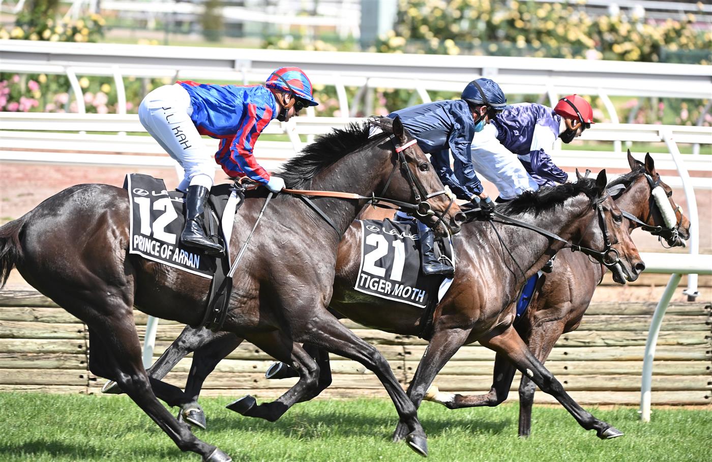 Jamie Kah riding Prince Of Arran finishing third in the 2020 Lexus Melbourne Cup at Flemington Racecourse on November 03, 2020 (Getty Images)