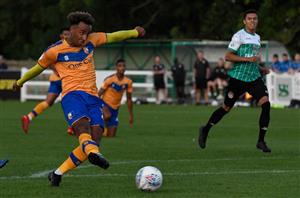 mansfield friendly