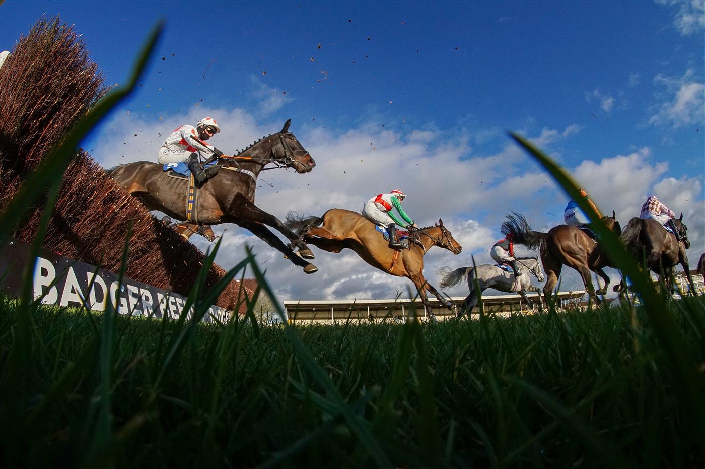 Racing Photos Wincanton racecourse on Thursday 19th November.