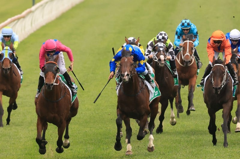 Big Bets Results from 21.11.2020