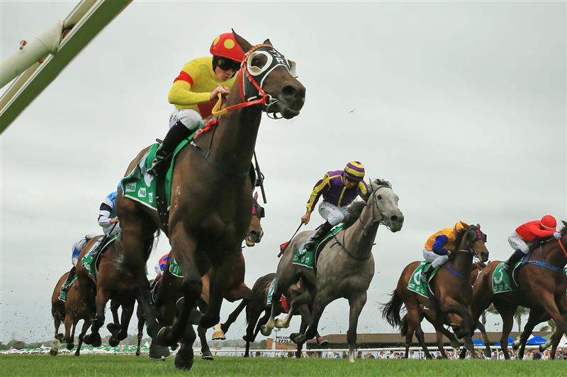 Kembla Grange Highlights The Gong Race Day (Pictures)