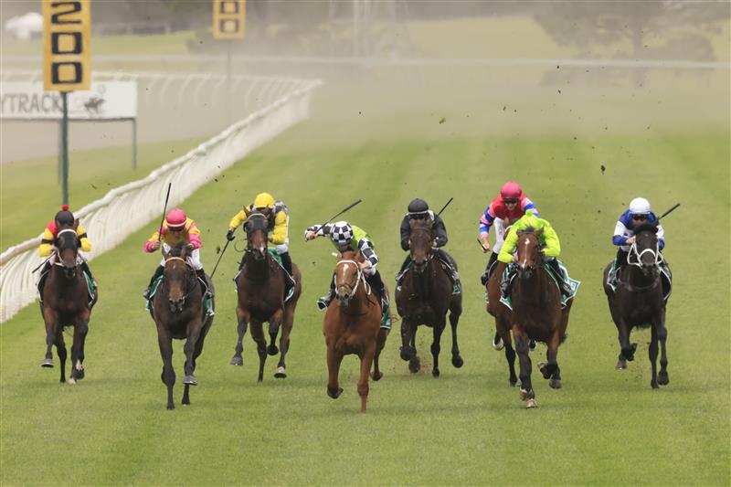 Kembla Grange Highlights The Gong Race Day (Pictures)