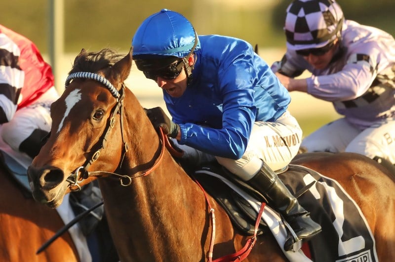 Winterbottom Stakes Tips