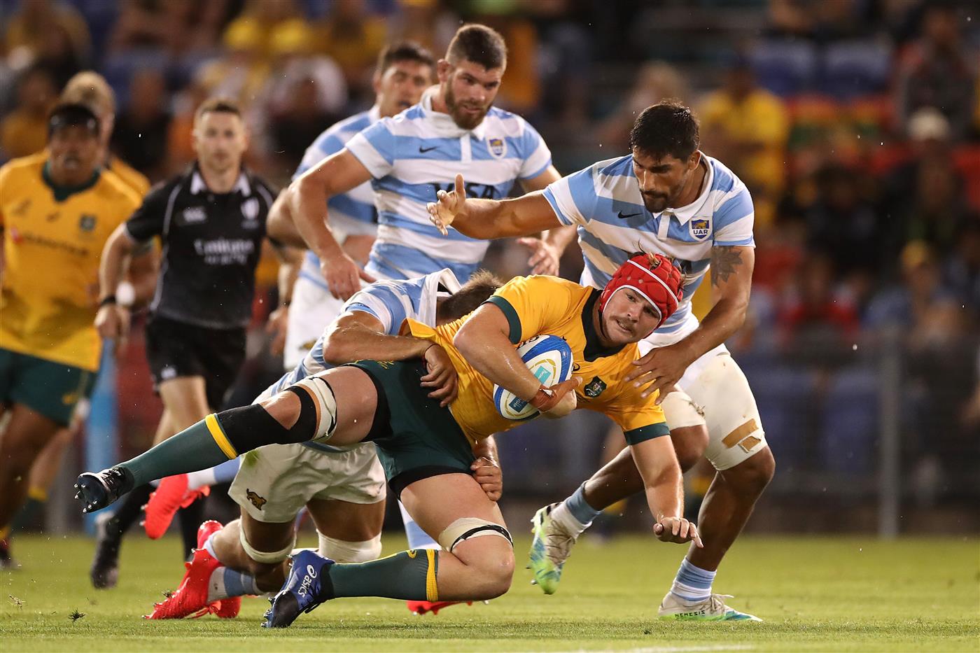 NEWCASTLE, AUSTRALIA - NOVEMBER 21: Harry Wilson of the Wallabies is tackled during the 2020 Tri-Nations match between the Australian Wallabies and the Argentina Pumas at McDonald Jones Stadium on November 21, 2020 in Newcastle, Australia. (Photo by Mark Kolbe/Getty Images)