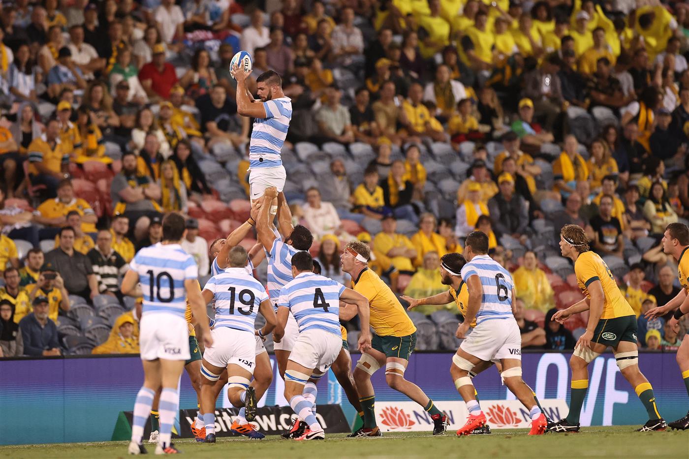 NEWCASTLE, AUSTRALIA - NOVEMBER 21: Argentina take lineout ball during the 2020 Tri-Nations match between the Australian Wallabies and the Argentina Pumas at McDonald Jones Stadium on November 21, 2020 in Newcastle, Australia. (Photo by Cameron Spencer/Getty Images)