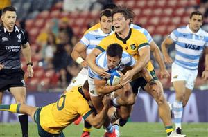 wallabies