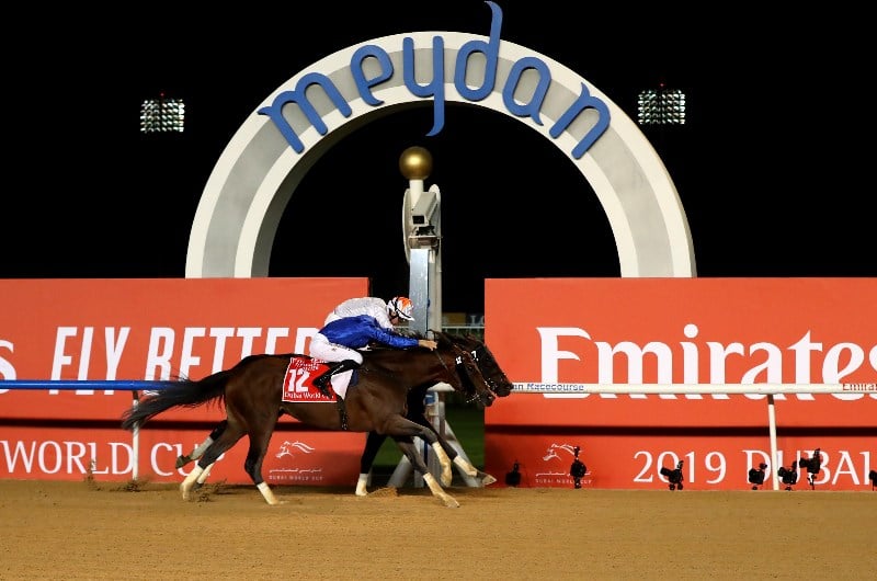 UAE Horse Racing Live Stream How to watch and bet on horse racing in