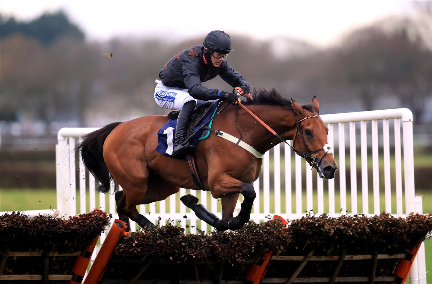 WETHERBY, UNITED KINGDOM - NOVEMBER 25: Sometimes Always ridden by jockey Charlie Todd clears a fence on the way to winning the Visit injuredjockeys.co.uk For Christmas Cards Conditional Jockeys' Handicap Hurdle at Wetherby Racecourse on November 25, 2020 in Wetherby, England. (Photo by Mike Egerton - Pool/Getty Images)