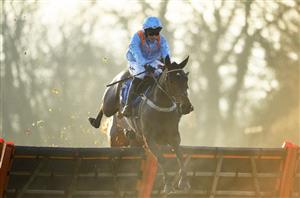 ITV Racing Tips - Tips for every race at Newbury and Newcastle on Saturday