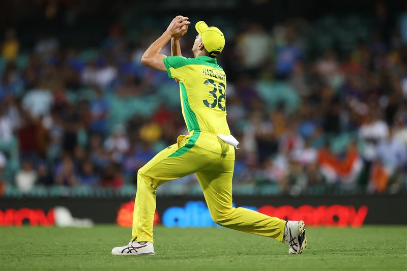 SYDNEY, AUSTRALIA - NOVEMBER 29: Josh Hazlewood of Australia catches KL Rahul of India off a delivery by Adam Zampa of Australia during game two of the One Day International series between Australia and India at Sydney Cricket Ground on November 29, 2020 in Sydney, Australia. (Photo by Cameron Spencer/Getty Images)