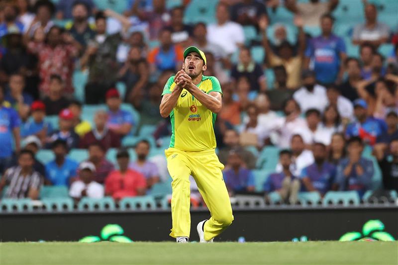 SYDNEY, AUSTRALIA - NOVEMBER 29: Mitchell Starc of Australia catches Shikhar Dhawan of India off a delivery by Josh Hazlewood of Australia during game two of the One Day International series between Australia and India at Sydney Cricket Ground on November 29, 2020 in Sydney, Australia. (Photo by Cameron Spencer/Getty Images)