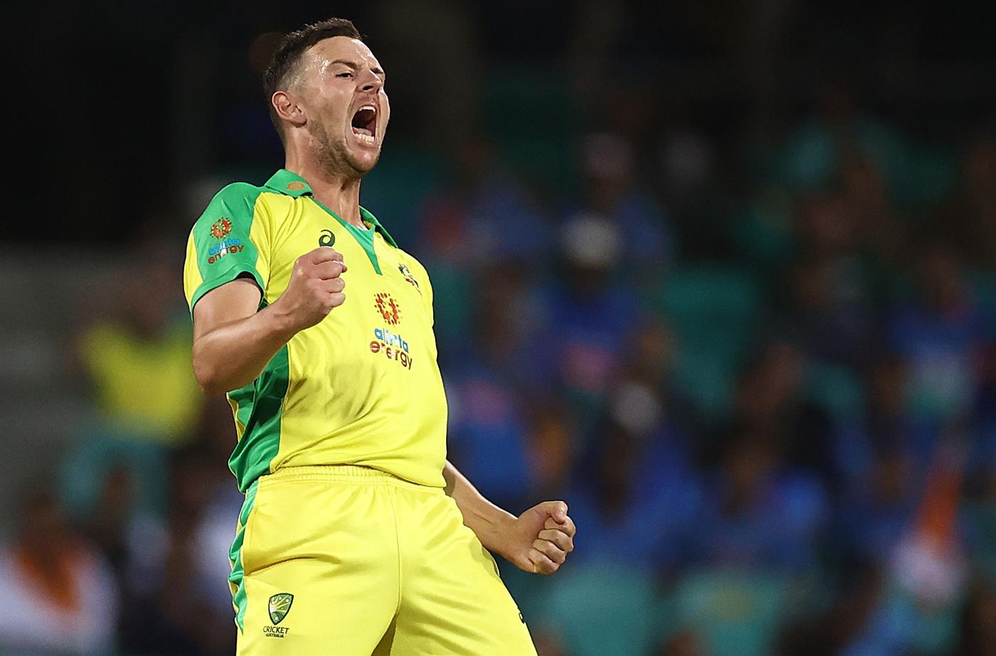 SYDNEY, AUSTRALIA - NOVEMBER 29: Josh Hazlewood of Australia celebrates after taking the wicket of Virat Kohli of India during game two of the One Day International series between Australia and India at Sydney Cricket Ground on November 29, 2020 in Sydney, Australia. (Photo by Ryan Pierse/Getty Images)