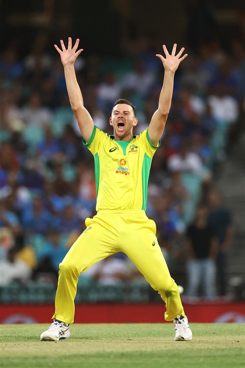 SYDNEY, AUSTRALIA - NOVEMBER 29: Josh Hazlewood of Australia appeals for lbw during game two of the One Day International series between Australia and India at Sydney Cricket Ground on November 29, 2020 in Sydney, Australia. (Photo by Cameron Spencer/Getty Images)