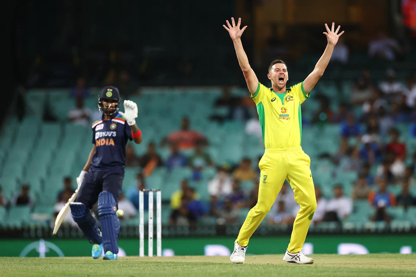 SYDNEY, AUSTRALIA - NOVEMBER 29: Josh Hazlewood of Australia appeals for lbw during game two of the One Day International series between Australia and India at Sydney Cricket Ground on November 29, 2020 in Sydney, Australia. (Photo by Cameron Spencer/Getty Images)