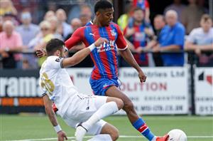 Crystal Palace friendly