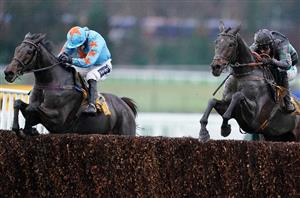 Tingle Creek Chase Live Stream
